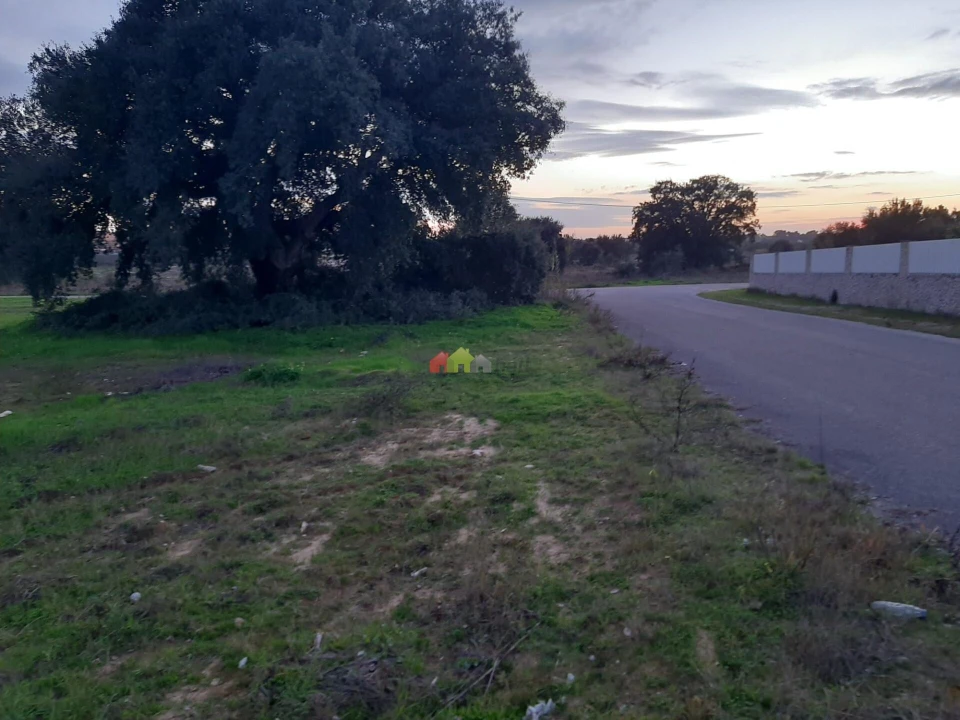 Terreno para Venda em Quinta do Anjo Foto 9