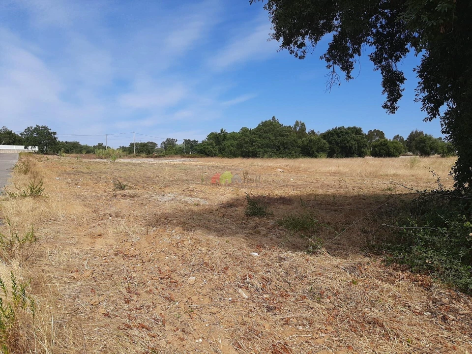 Terreno para Venda em Quinta do Anjo Foto 3