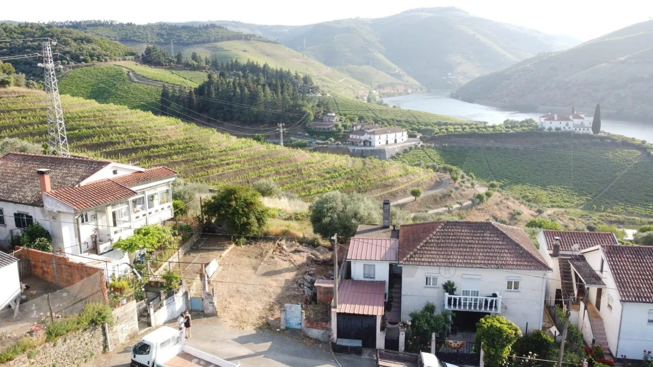 Terreno para Venda em Folgosa Foto 2