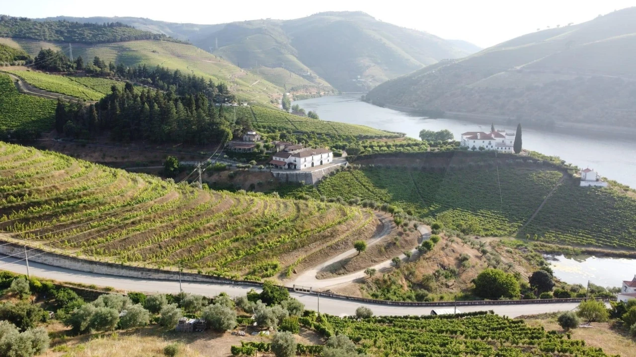 Terreno para Venda em Folgosa Foto 1