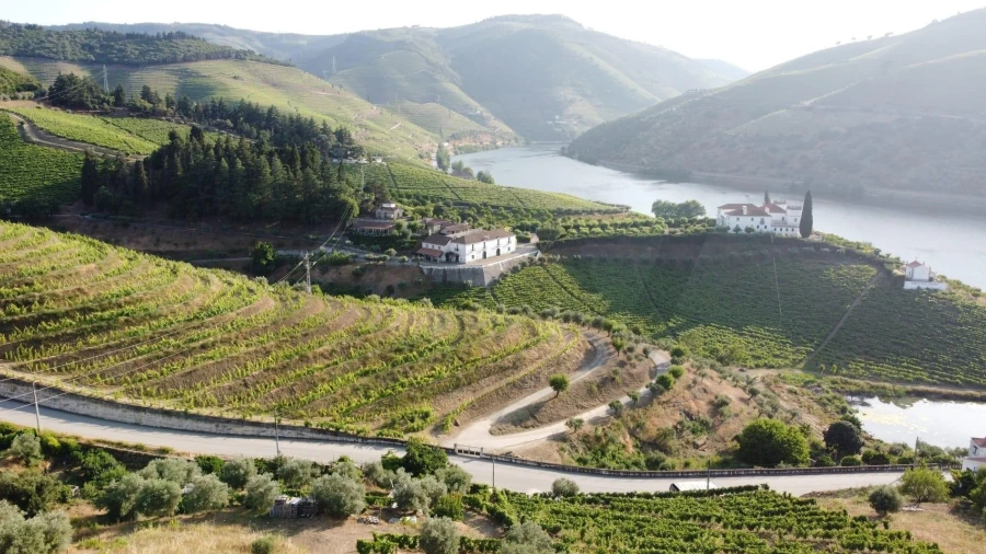 Terreno para Venda em Folgosa