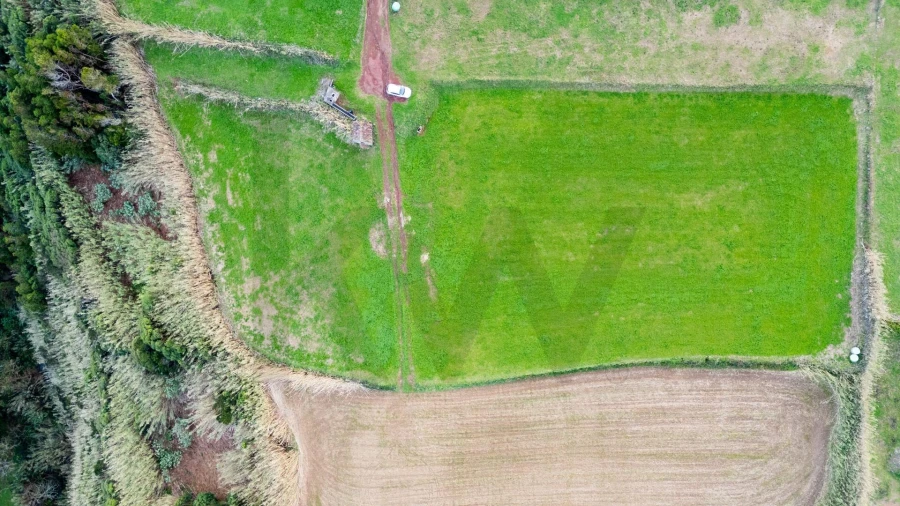 Terreno para Venda em Lomba da Fazenda Foto 29