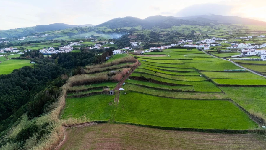 Terreno para Venda em Lomba da Fazenda Foto 28