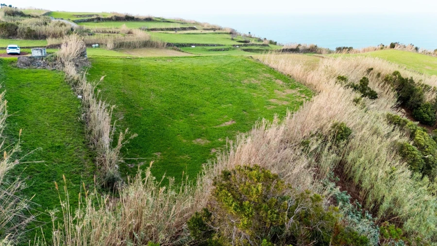 Terreno para Venda em Lomba da Fazenda Foto 26