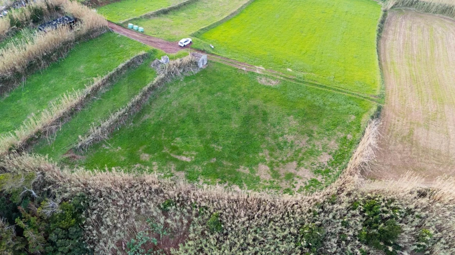 Terreno para Venda em Lomba da Fazenda Foto 23