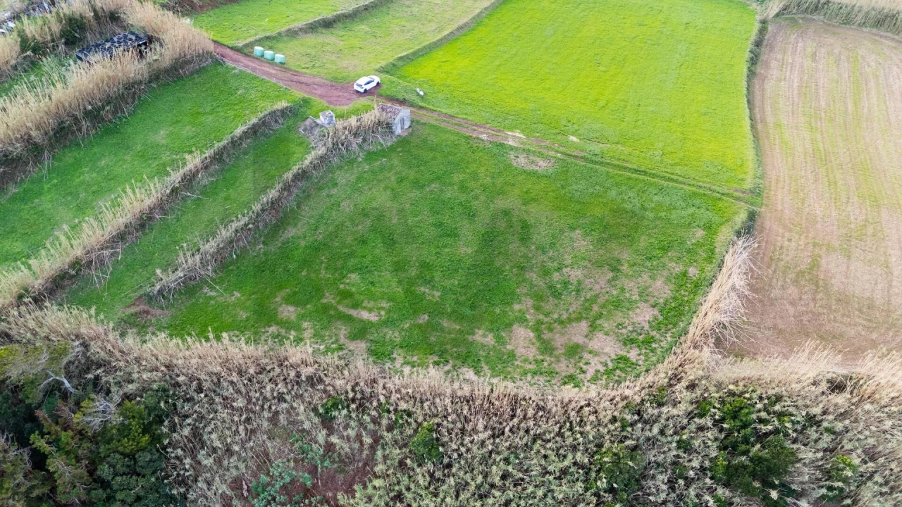 Terreno para Venda em Lomba da Fazenda Foto 23