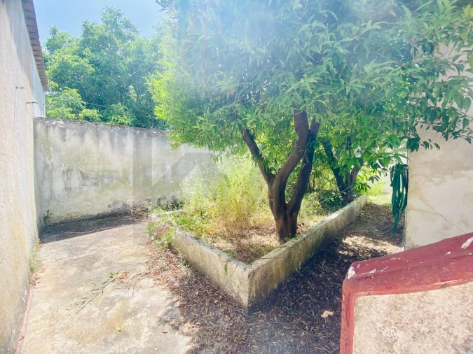 Apartamento T5 para Venda em Borba (Matriz) Foto 28