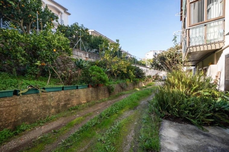 Apartamento T3 para Venda em Eiras e São Paulo de Frades Foto 33