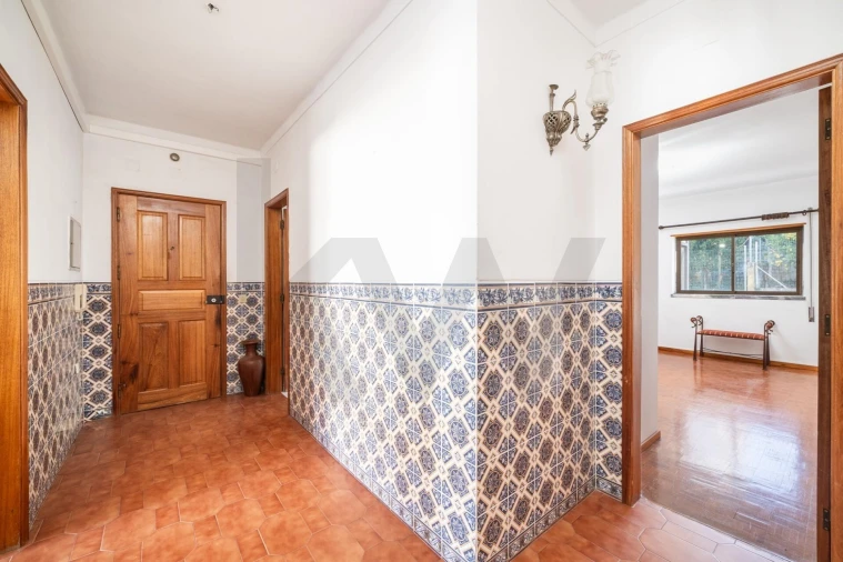 Apartamento T3 para Venda em Eiras e São Paulo de Frades Foto 8