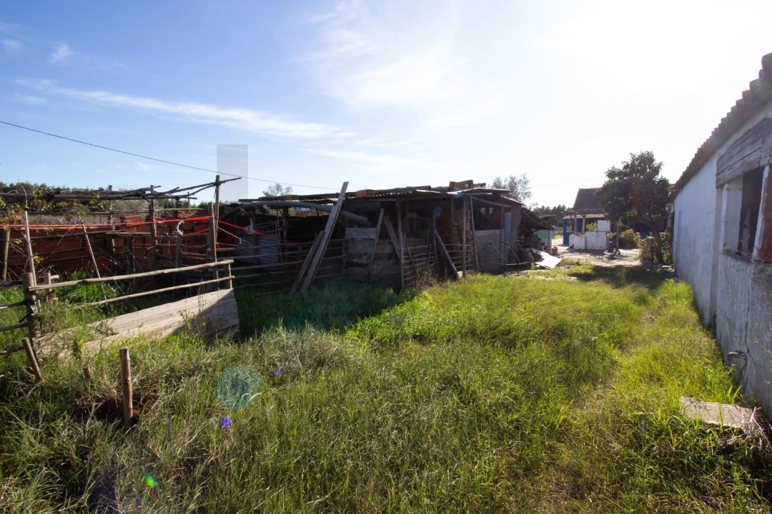 Moradia T3 para Venda em Alpiarça Foto 21