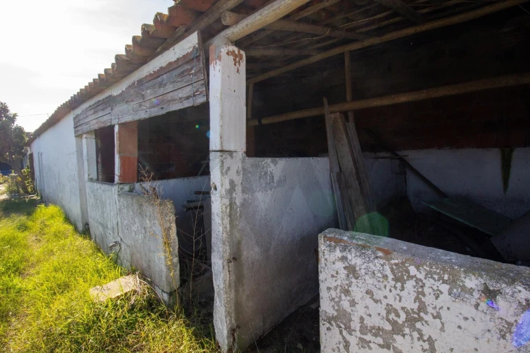 Moradia T3 para Venda em Alpiarça Foto 22