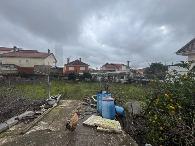 Terreno para Venda em Santo António dos Cavaleiros e Frielas Foto 5