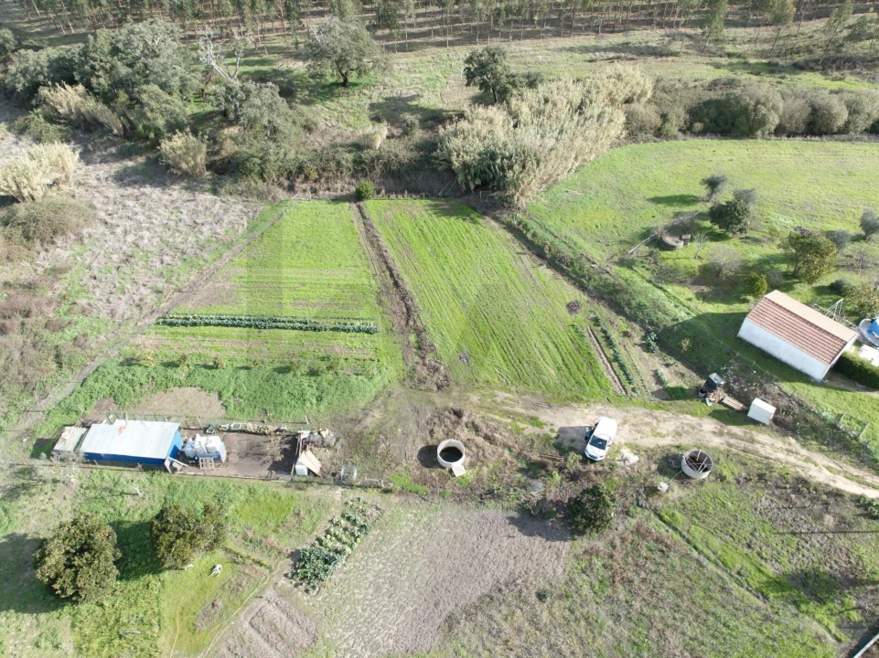 Terreno para Venda em São Domingos e Vale de Água Foto 5