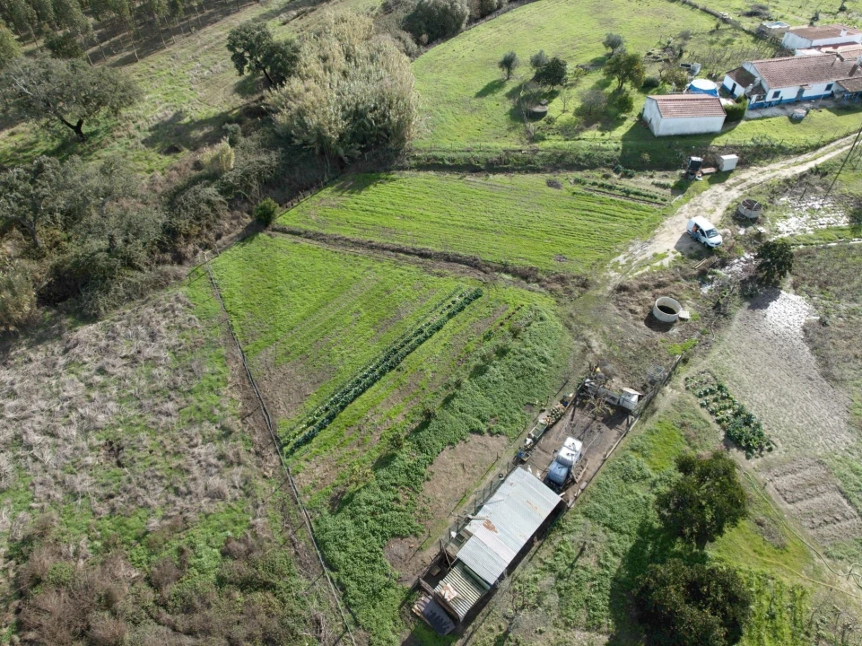 Terreno para Venda em São Domingos e Vale de Água Foto 6