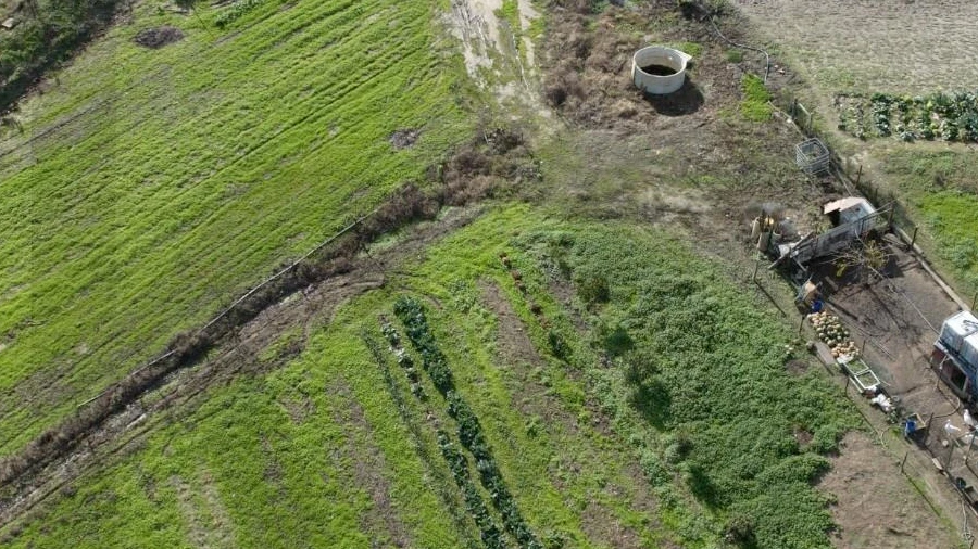 Terreno para Venda em São Domingos e Vale de Água