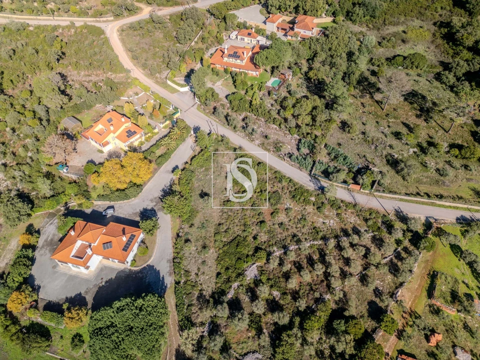 Terreno para Venda em Minde Foto 3