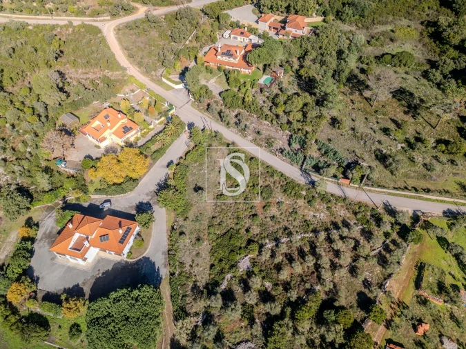 Terreno para Venda em Minde Foto 3