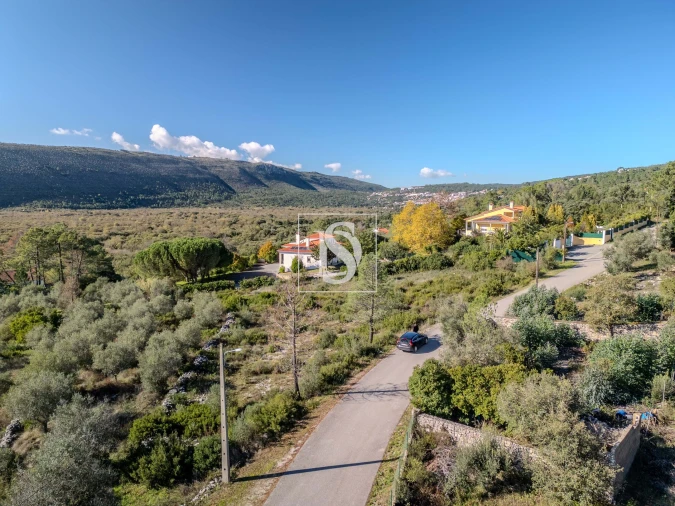 Terreno para Venda em Minde Foto 5