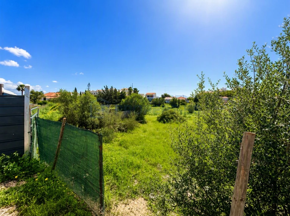 Terreno para Venda em Almancil Foto 4
