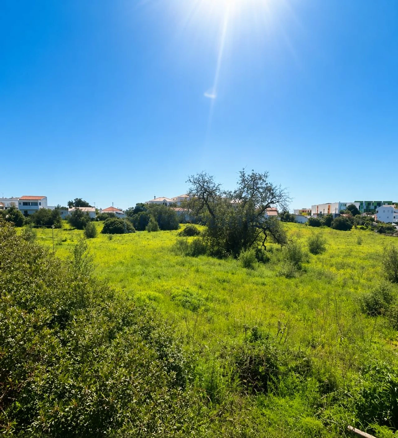 Terreno para Venda em Almancil Foto 3