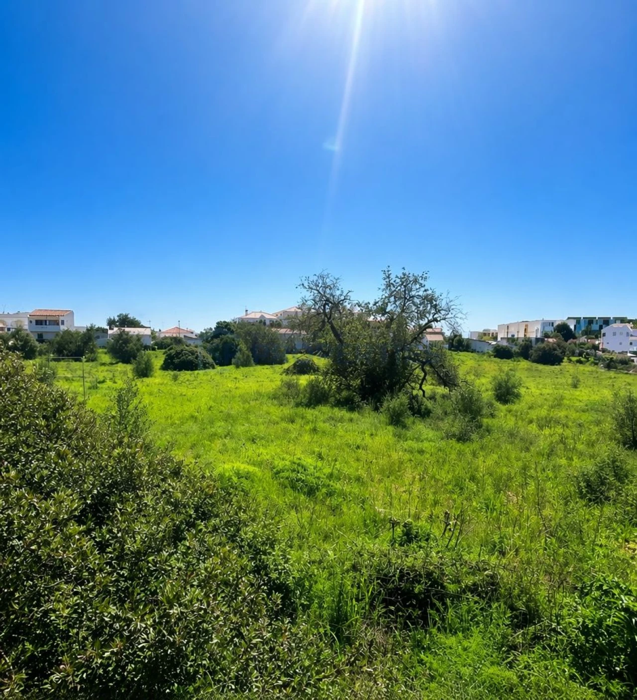 Terreno para Venda em Almancil Foto 10
