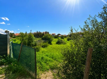 Terreno para Venda em Almancil