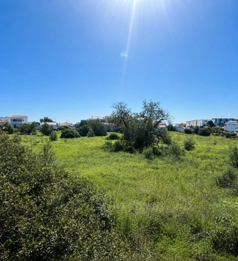 Terreno para Venda em Almancil