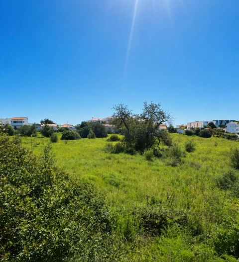 Terreno para Venda em Almancil