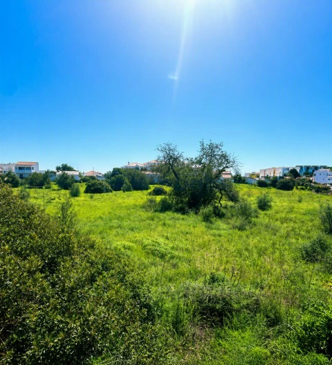 Terreno para Venda em Almancil