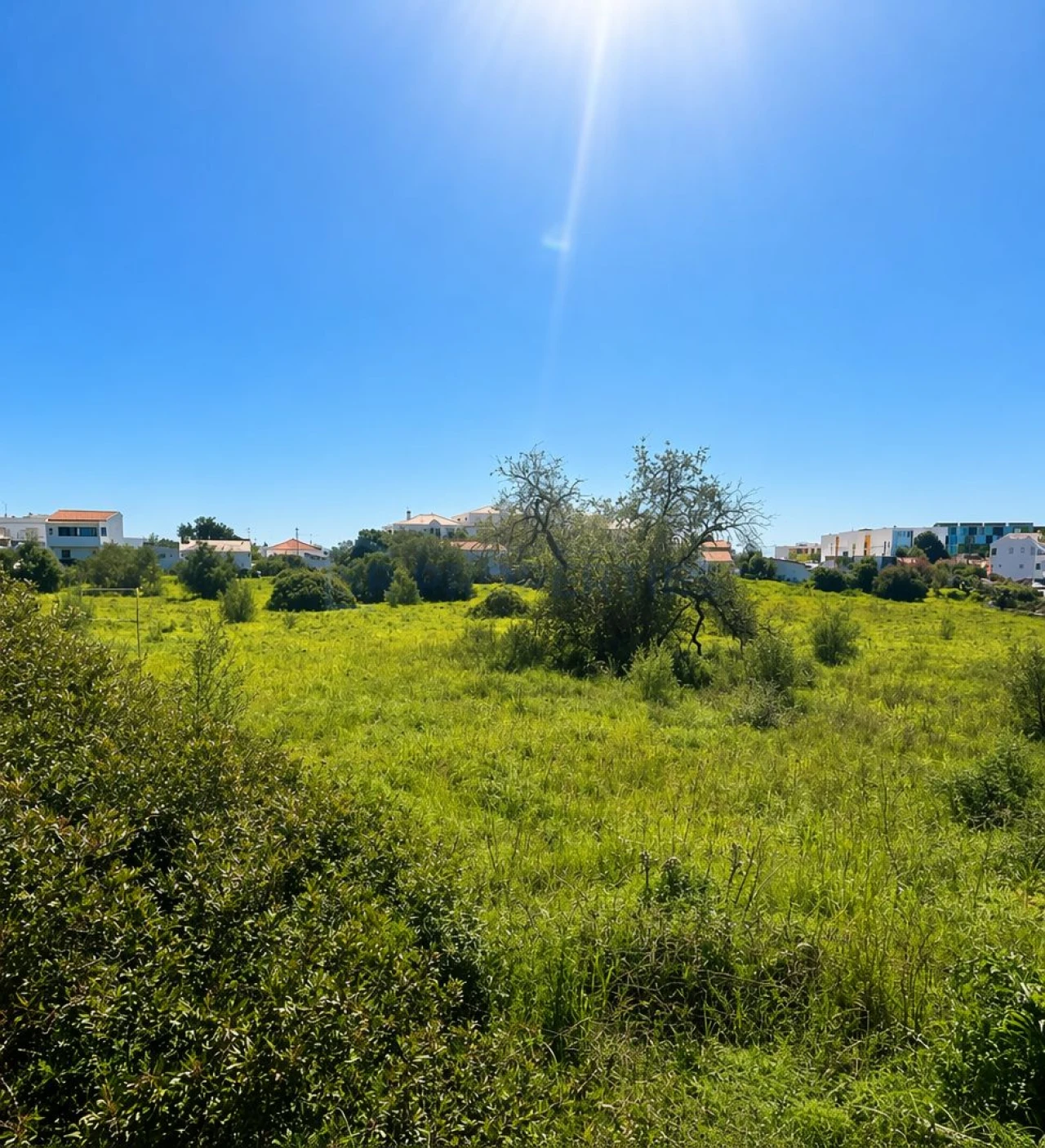 Terreno para Venda em Almancil Foto 14