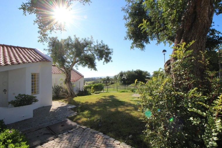 Moradia T2 para Venda em Guia Foto 47