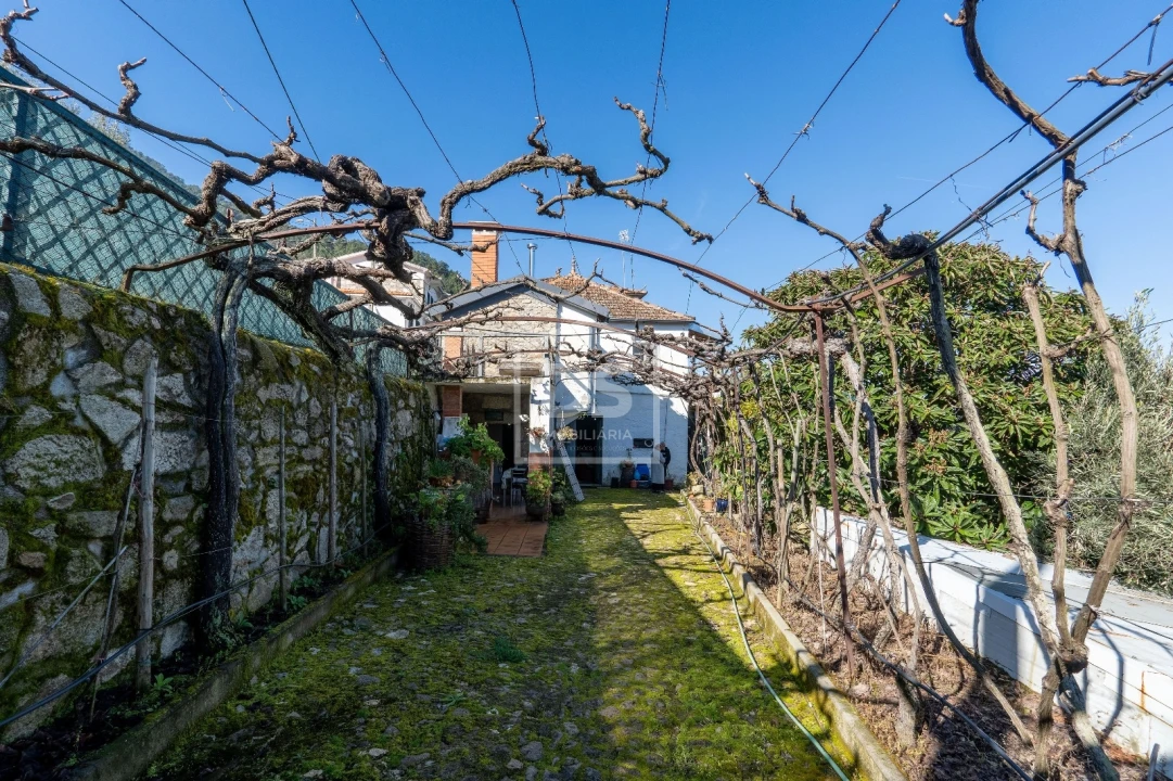 Quinta T3 para Venda em Távora e Pereiro Foto 15