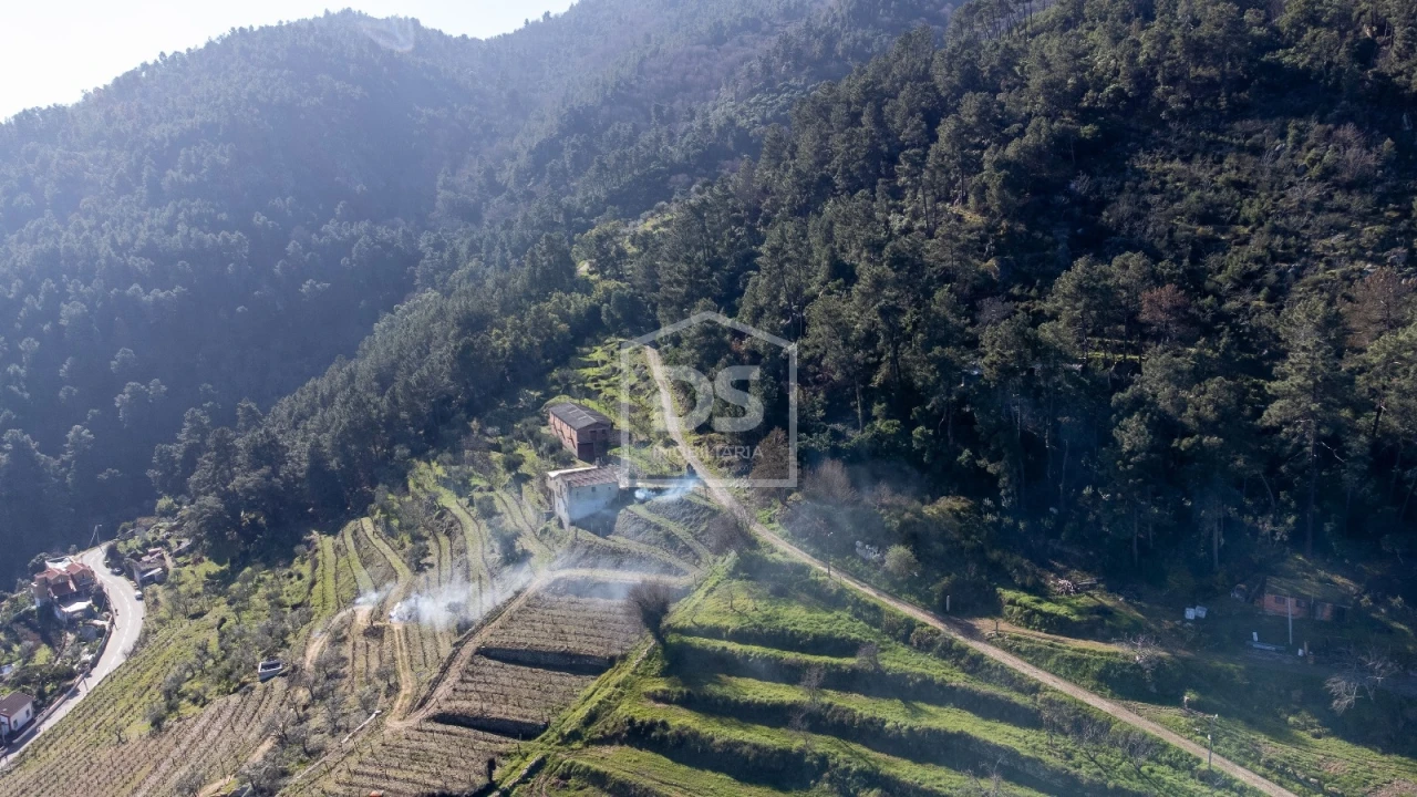 Quinta T3 para Venda em Távora e Pereiro Foto 51