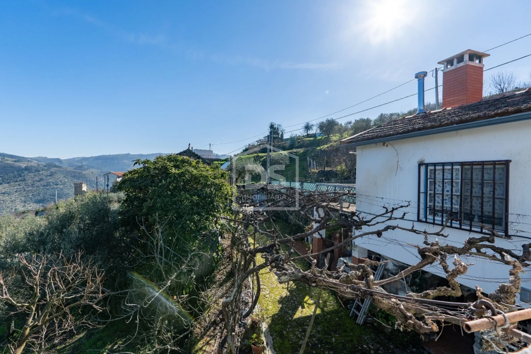 Quinta T3 para Venda em Távora e Pereiro Foto 21
