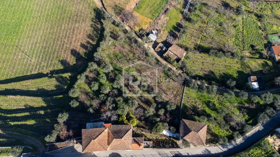 Quinta T3 para Venda em Távora e Pereiro Foto 9