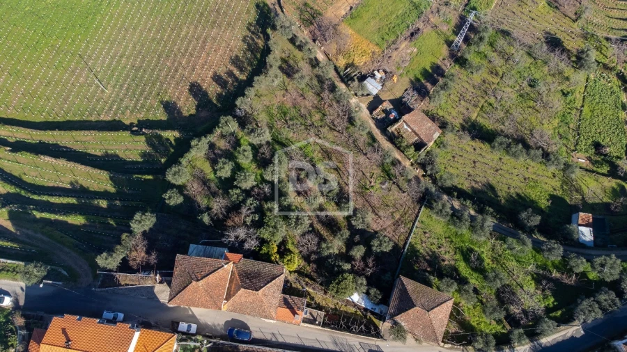 Quinta T3 para Venda em Távora e Pereiro Foto 5