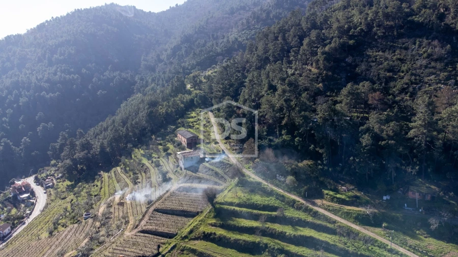 Quinta T3 para Venda em Távora e Pereiro Foto 51