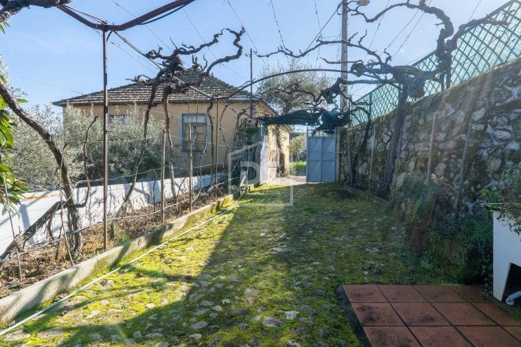 Quinta T3 para Venda em Távora e Pereiro Foto 20