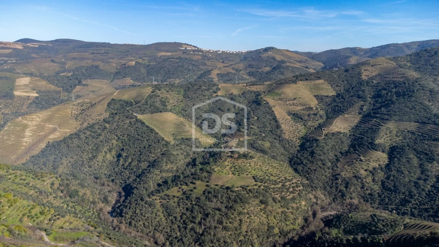 Quinta T3 para Venda em Távora e Pereiro Foto 23