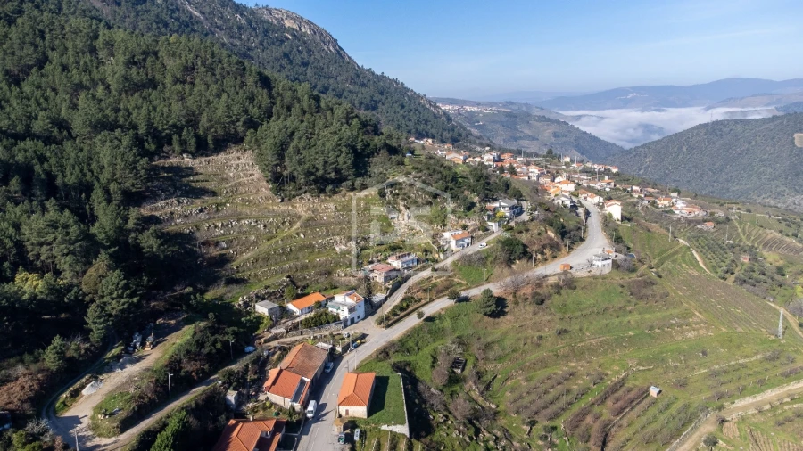 Quinta T3 para Venda em Távora e Pereiro Foto 50