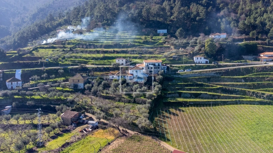 Quinta T3 para Venda em Távora e Pereiro Foto 6