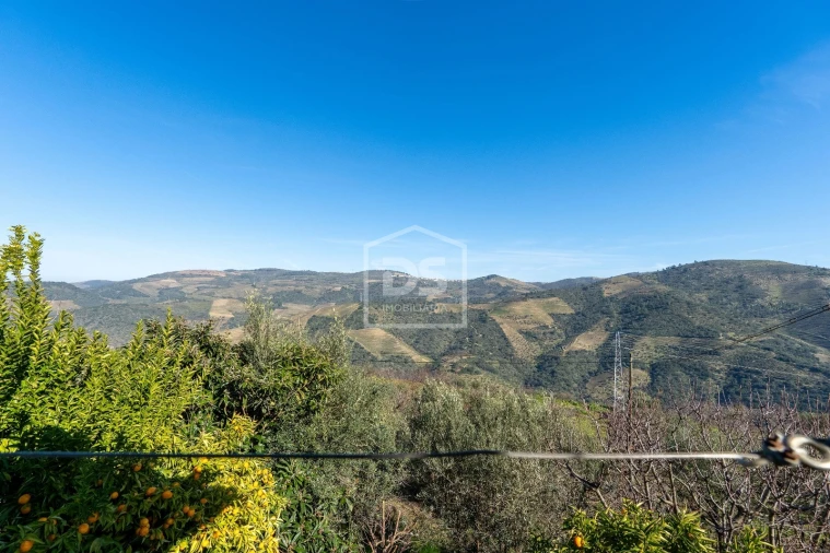 Quinta T3 para Venda em Távora e Pereiro Foto 40