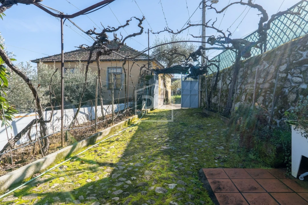 Quinta T3 para Venda em Távora e Pereiro Foto 20