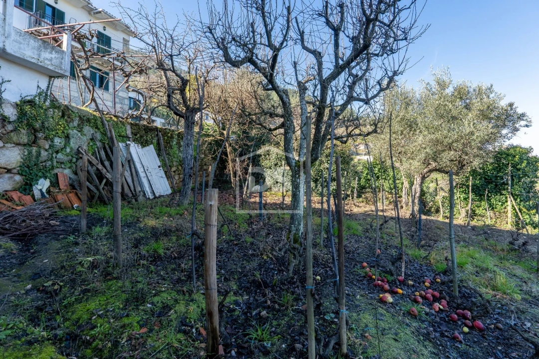 Quinta T3 para Venda em Távora e Pereiro Foto 17