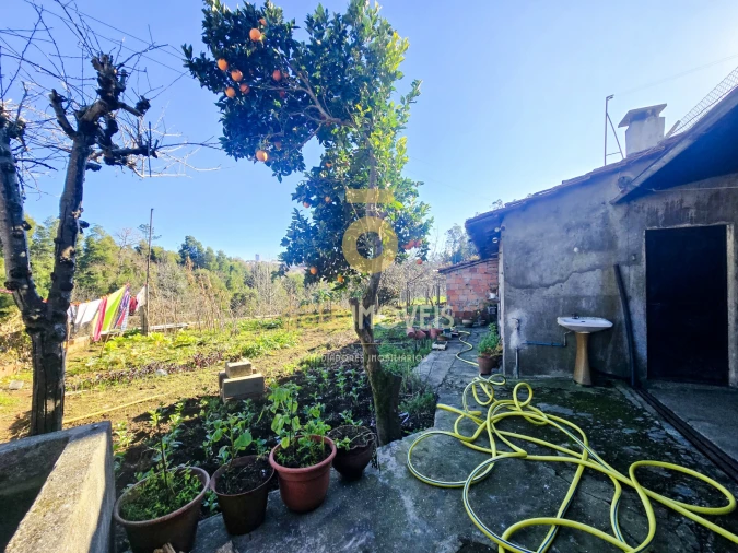Moradia T3 para Venda em O. Azeméis, Riba-Ul, Ul, Macinhata Seixa, Madail Foto 16