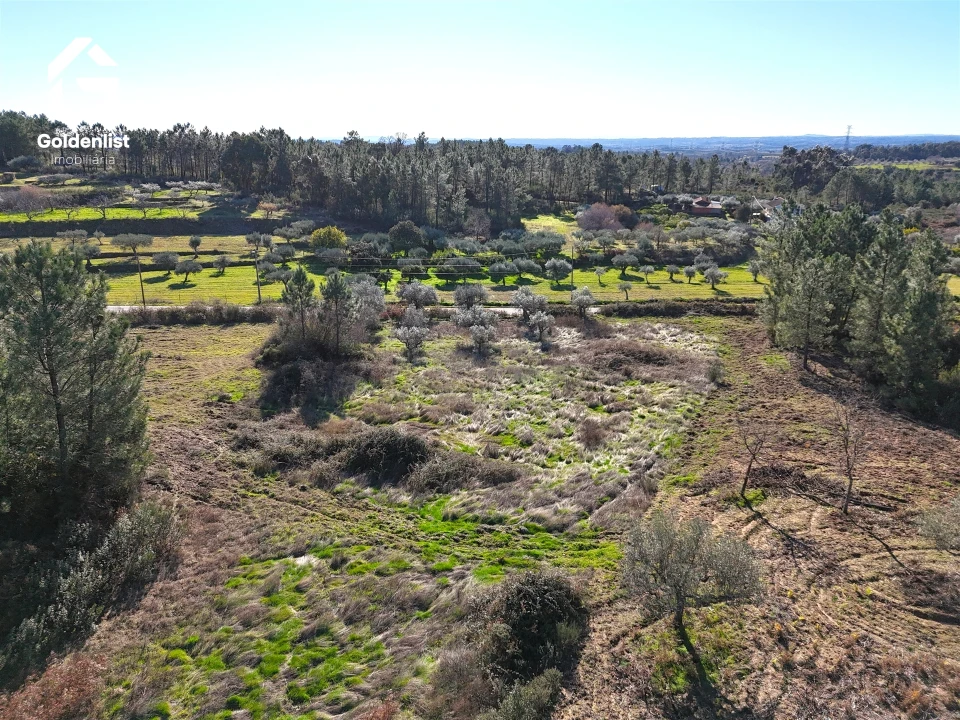 Quinta T0 para Venda em Vale de Prazeres e Mata da Rainha Foto 8