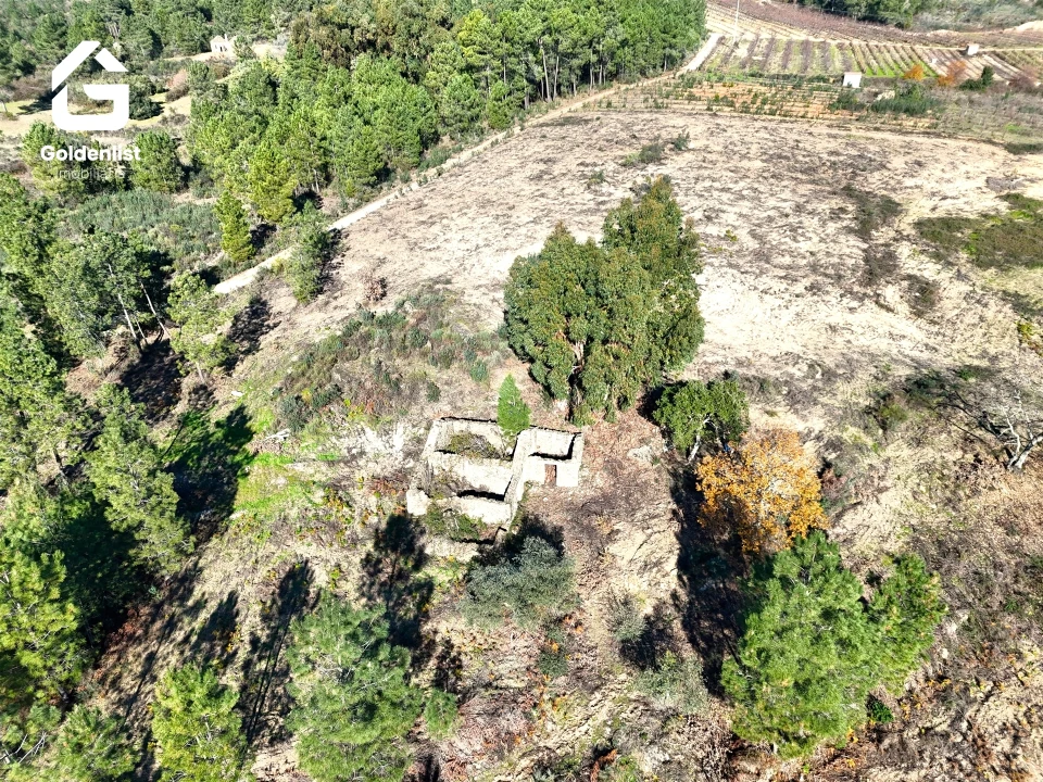 Quinta T0 para Venda em Vale de Prazeres e Mata da Rainha Foto 13