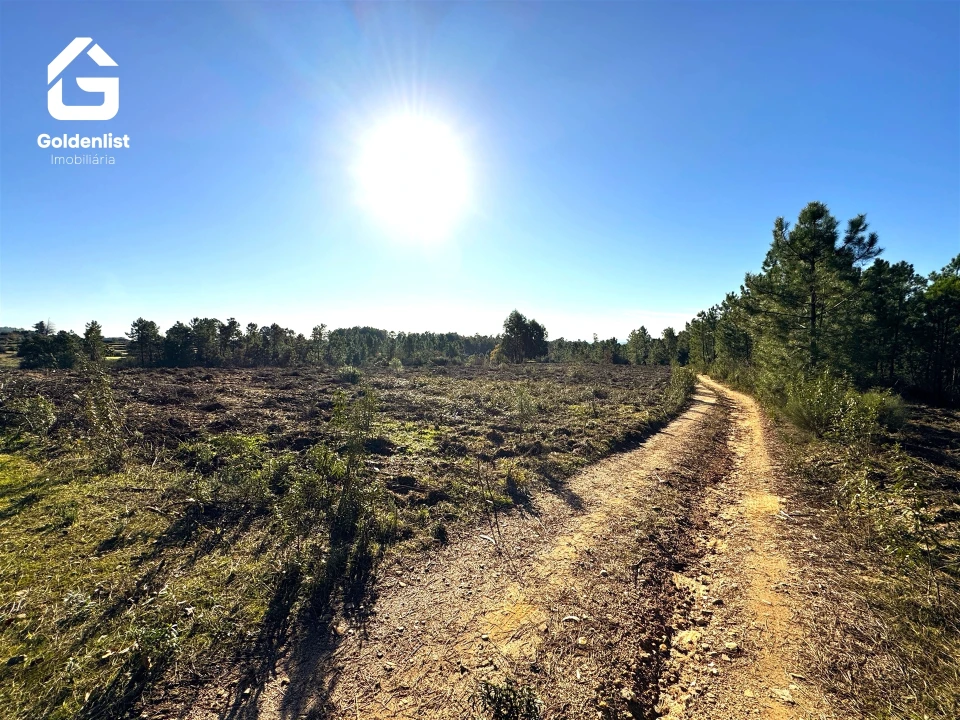 Quinta T0 para Venda em Vale de Prazeres e Mata da Rainha Foto 25