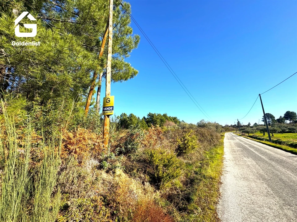 Quinta T0 para Venda em Vale de Prazeres e Mata da Rainha Foto 33