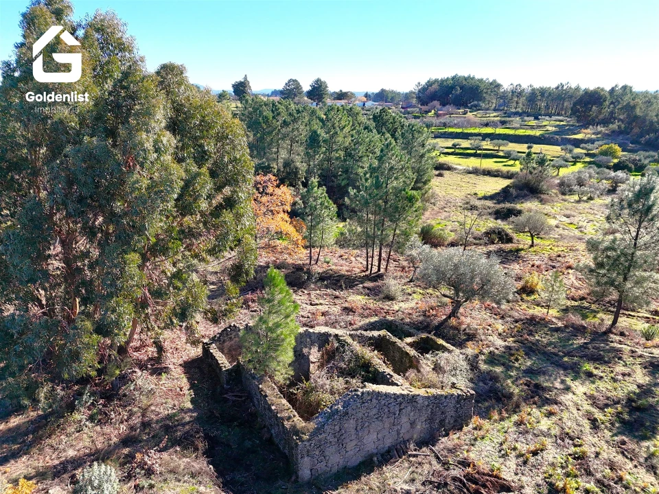 Quinta T0 para Venda em Vale de Prazeres e Mata da Rainha Foto 10